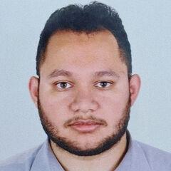 عبد الرحمن حبنه, External Finance Auditor