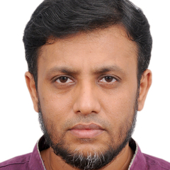 Liyakath Ali Syed Mohammed, DevOps SRE Consultant