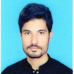 Shahab Khan, Higher School Biology Teacher