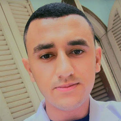 Mohasseeb Ahmed Ahmed