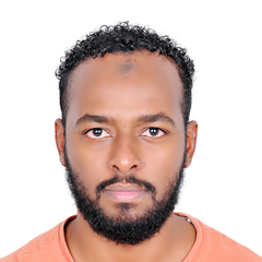 Mohamed Abdalrazig