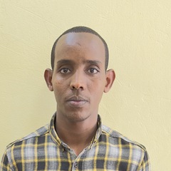 Hassan  Sheikh 