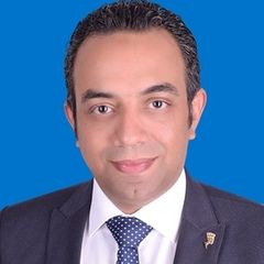 Dr Eng Mohammed Kamal Abdelsalam Ali Hassan, Information Technology Consultant