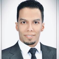 Mahmoud  Atiya, Project Manager 