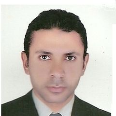 hassan محمد محمد حسن يونس, محامي حر