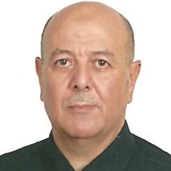 عصام الدين عبد الحميد, Information Technology Consultant  