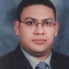 أحمد ally el sayed, customs appraiser & auditor