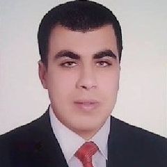 علي احمد علي, Accountant