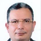 Mohamed Ashraf Ahmed, Consulting Engineer, Subject Matter Expert
