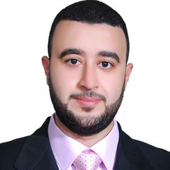 أحمد دياب, Accounting Manager