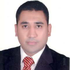 محمود إبراهيم محمود, Senior Electronic / Instrument Technician 