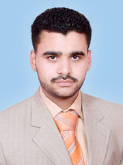 وائل محمد محمد الجندى, مدير تنفيذى