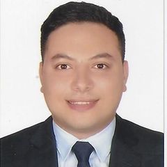 Abdelzaher Yakan, Senior Accountant
