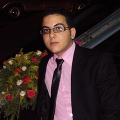 Karim Farghaly, محاسب و مراجع