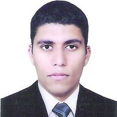 احمد ابراهيم حسن غنيم, Electrical Maintenance Engineer
