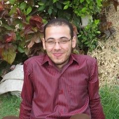 ahmed Samir Ibrahim EL- Sawy, الوكيل الدائم للشركة