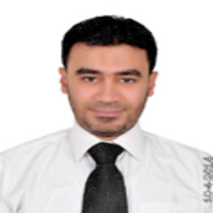 أمير ربيع محمد الجيزاوي, Supply Chain And Procurement Manager