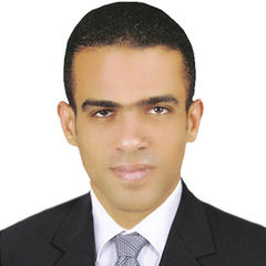 هشام حبيب, مهندس تتفيذ واشراف