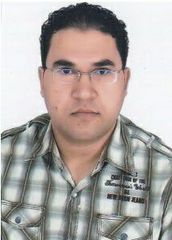 mohamed shokry, Chief accountant 