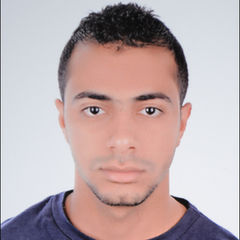 Amr Yousef