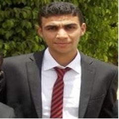Ahmed Adel Nabeh Mohamed Hassen, مهندس مقاول
