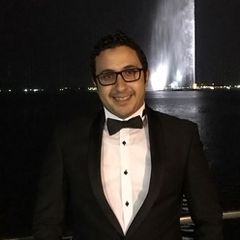 وسام أبو الخير, Project Manager