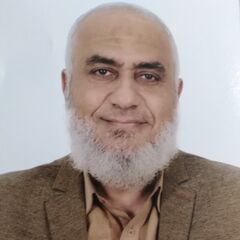 Nasser Mahmoud Hussein Roshdy Mohram, IT General Manager