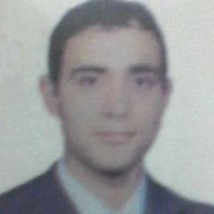 محمد السباعى, موظف اداري