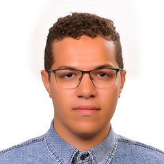 ibrahim shawky abdullah