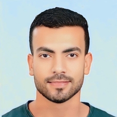 Abdelgwad Ayman