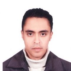 محمد البدوي, Financial Manager