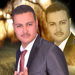 ekramy Kamal Mohamed Farrag Kamal, مندوب مبيعات