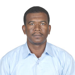 Elzein Kamal  Hassan PMP , Project Engineer , PMP , PMI-RMP