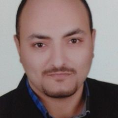 Mostafa Refaat Zaki, Customer service representative