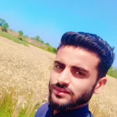 Shehryar  Afzal