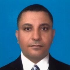Ezzat Solaiman , Site Supervisor