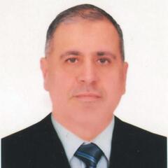 حيدر حمودي رشيد rasheed, CEO