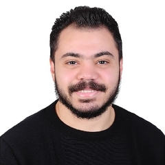 Mohamed Ahmed Ahmed Mahmoud  Kesba