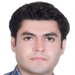 ehsan amiri