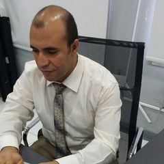 Mahmoud Fawzy Mahmoud Saleh, Sales Manager