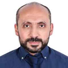 وليد حسن, Senior Software Engineer/Team Leader/Analyst