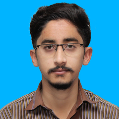 Osama Baig