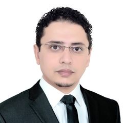 محمد مصطفي ابراهيم علي, Software Development Team Leader