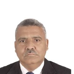 محمد عباس بغدادى عبد الرحيم, مدير مشروع
