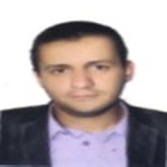 Ahmed Ibrahem, INTERNSHIP