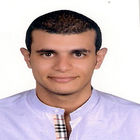باسم رامى أنيس, Sales Supervisor and Team Leader