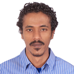 Ibrahim Suliman, Systems Administrator