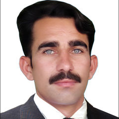 muhammad shafqat mirza, land   surveyor