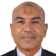 Mohamed kamal Abdel aal Hassan Hassan, Administrator Arabic & spanish & English and Italian languages