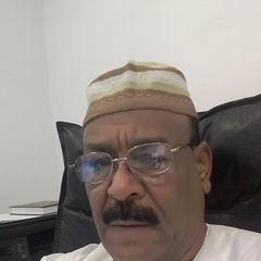 محمد الهادي محمد خيري سليمان, مدير مالي
